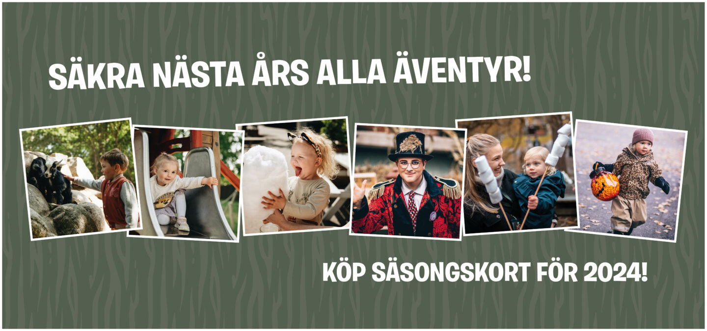 BLACK FRIDAY Parken Zoo